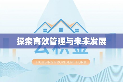 光明新区探索高效管理与未来发展