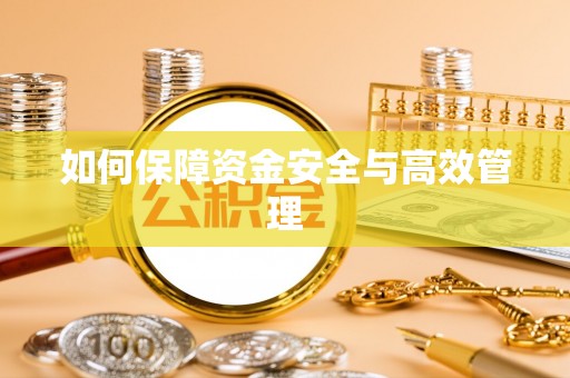 光明新区如何保障资金安全与高效管理