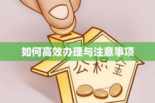 光明新区如何高效办理与注意事项