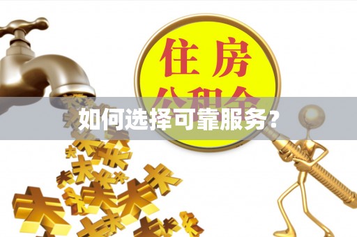 光明新区如何选择可靠服务？