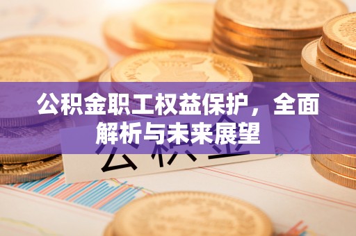 光明新区公积金职工权益保护，全面解析与未来展望
