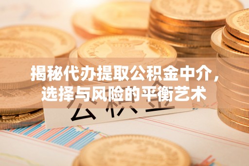 光明新区揭秘代办提取公积金中介，选择与风险的平衡艺术