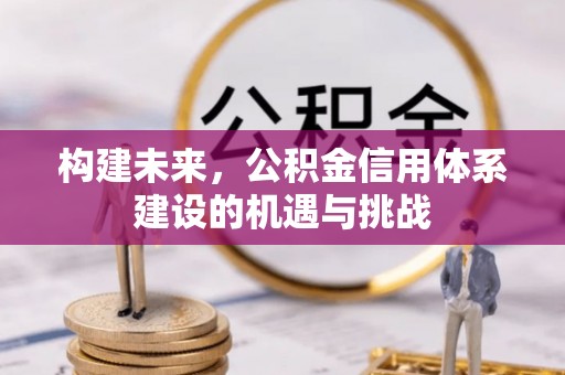 光明新区构建未来，公积金信用体系建设的机遇与挑战