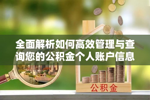 光明新区全面解析如何高效管理与查询您的公积金个人账户信息