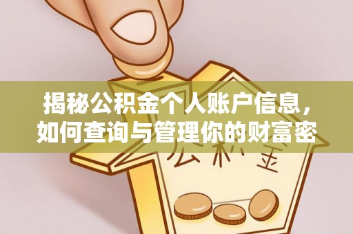 光明新区揭秘公积金个人账户信息，如何查询与管理你的财富密码