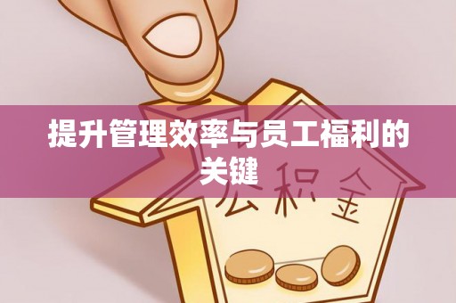 光明新区提升管理效率与员工福利的关键