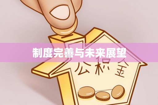 光明新区制度完善与未来展望