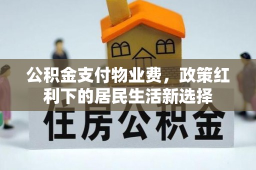 光明新区公积金支付物业费，政策红利下的居民生活新选择