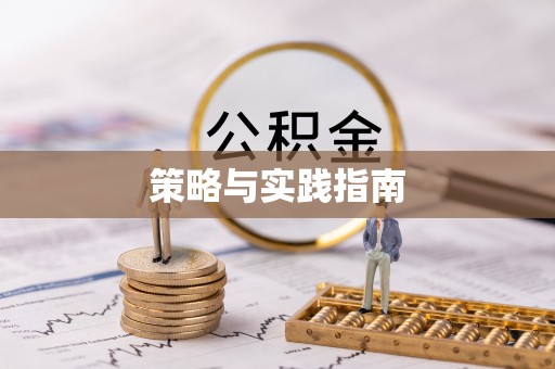 光明新区策略与实践指南