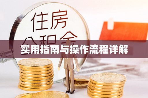 光明新区实用指南与操作流程详解