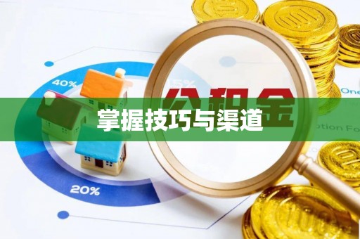 光明新区掌握技巧与渠道